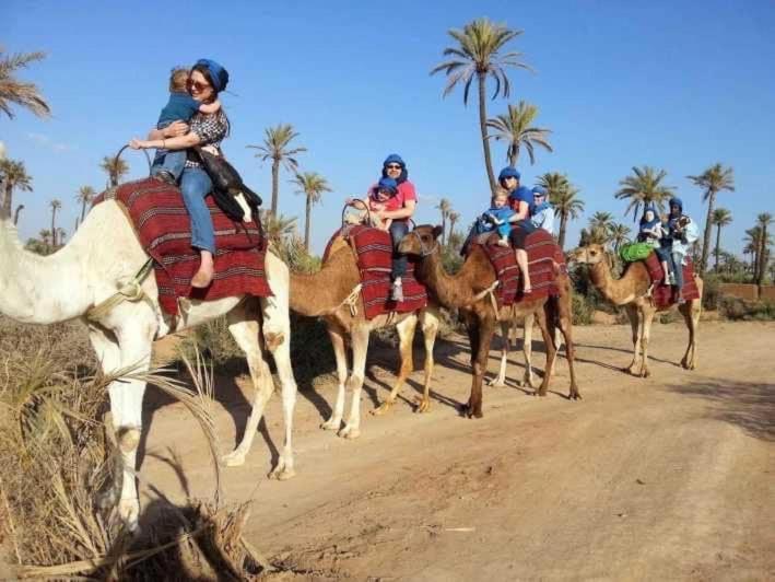 Tres Beau Riad A Marrakech Avec Piscines Μαρακές Εξωτερικό φωτογραφία